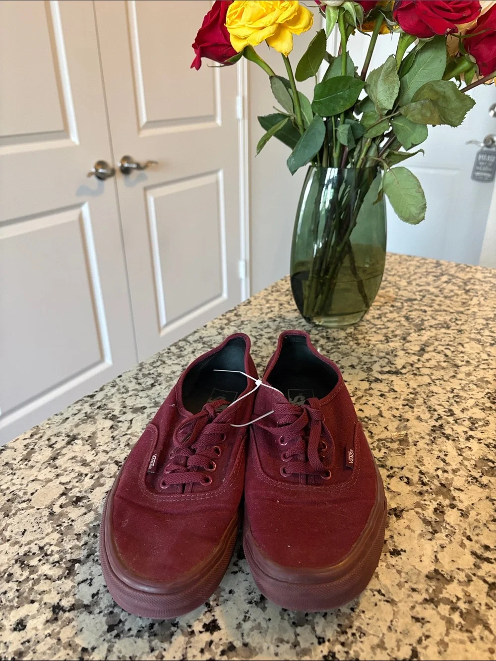 Vans Maroon Canvas Lace-Up Sneakers